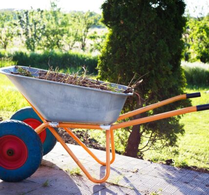 brouette optimale pour votre jardinage