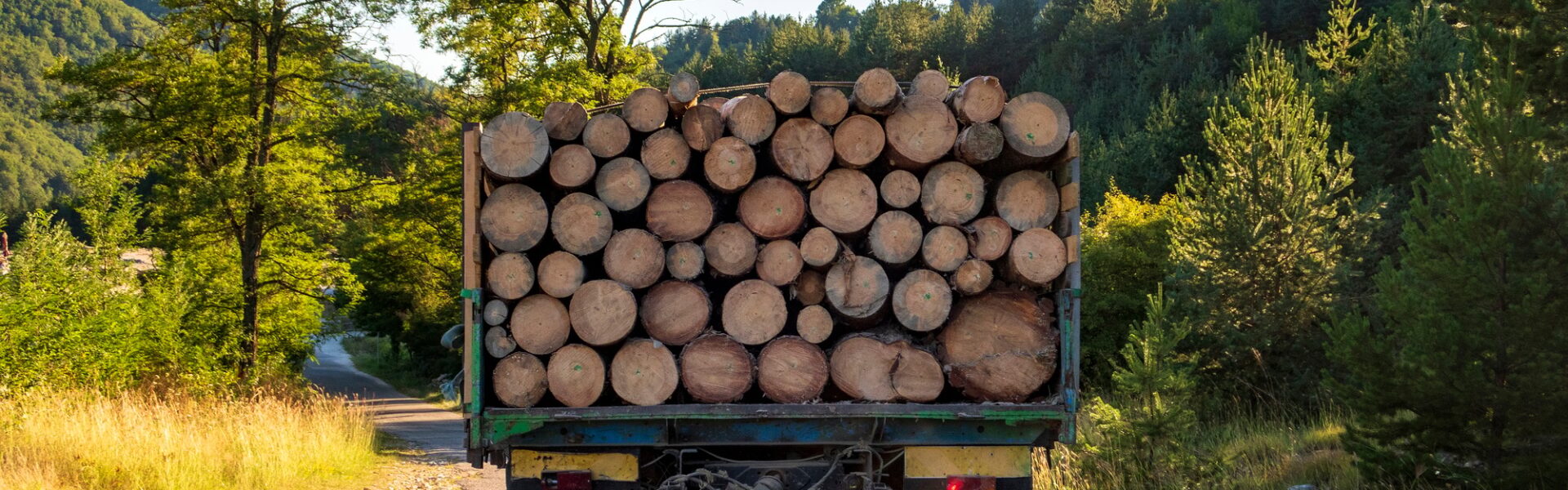 semi-remorque de bois de chauffage