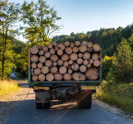 semi-remorque de bois de chauffage