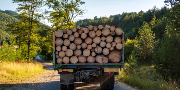 semi-remorque de bois de chauffage