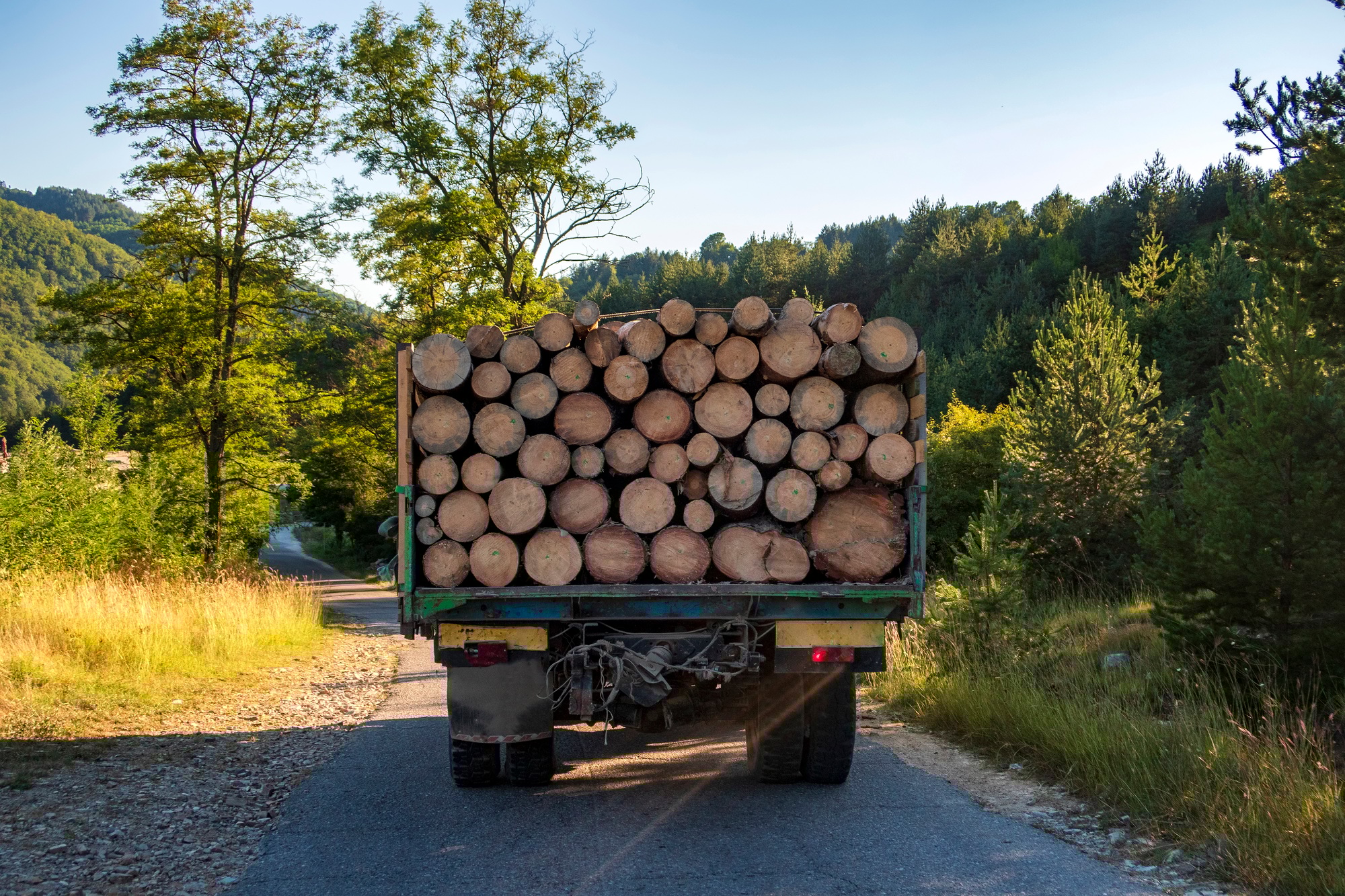 semi-remorque de bois de chauffage