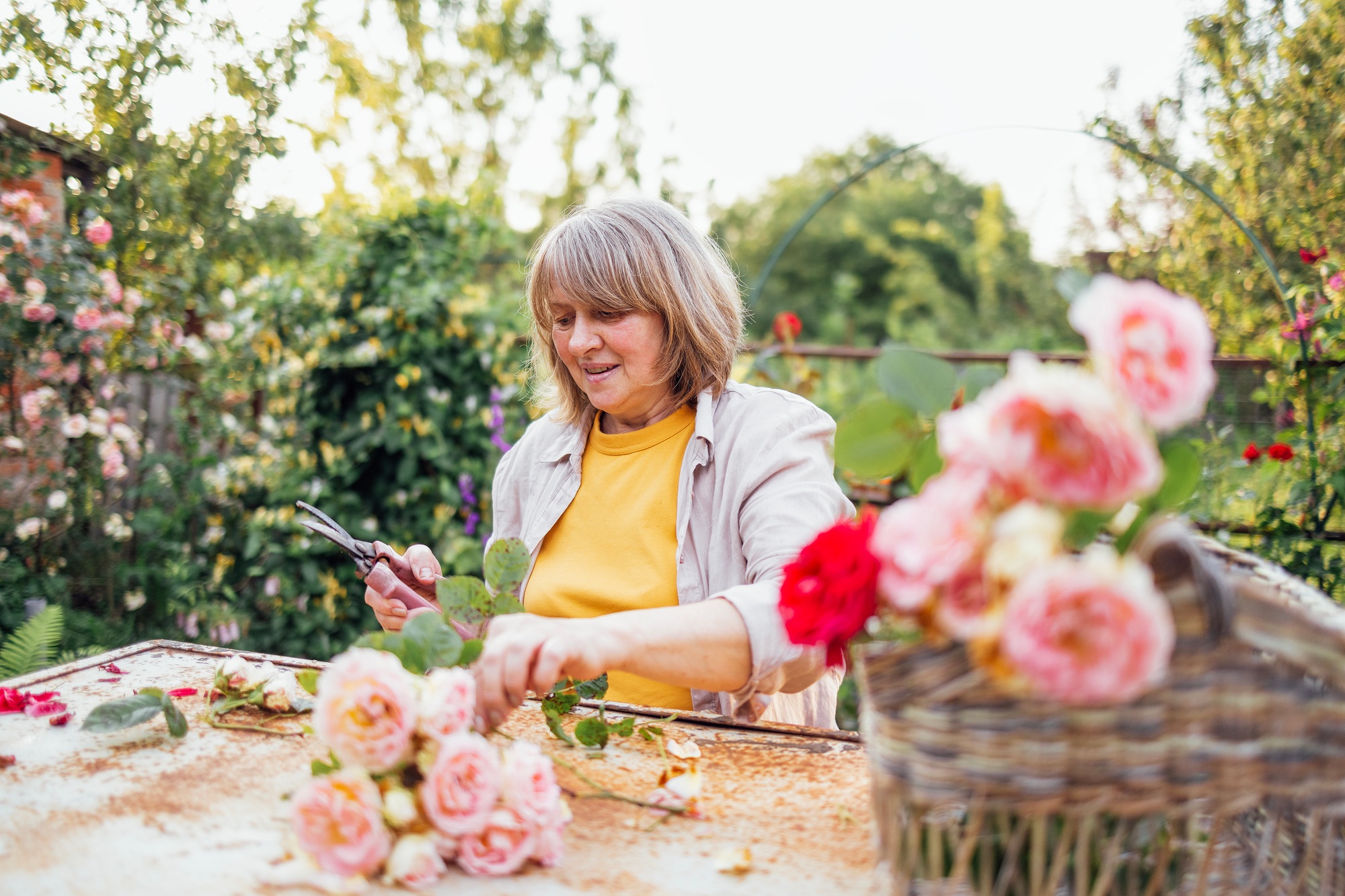 A middle-aged woman is sitting at a table and picking a bouquet of roses outdoors