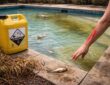 découvrez les impacts dangereux de l'acide sulfurique utilisé en piscine sur la santé humaine et l'environnement, ainsi que les mesures de prévention à adopter.