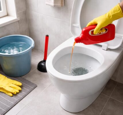 découvrez comment déboucher efficacement vos wc avec destop wc grâce à des étapes simples et efficaces pour un résultat optimal et rapide.
