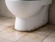 découvrez les signes révélateurs d'une fuite entre wc et carrelage pour agir rapidement et éviter des dégâts importants dans votre salle de bain.