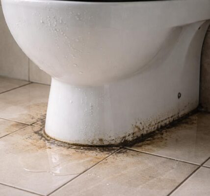 découvrez les signes révélateurs d'une fuite entre wc et carrelage pour agir rapidement et éviter des dégâts importants dans votre salle de bain.
