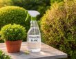 découvrez pourquoi le traitement au vinaigre blanc est une solution efficace et naturelle pour lutter contre le pyrale du buis et protéger vos buis.