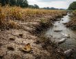 découvrez les impacts environnementaux du mauvais dosage du glyphosate dans 1 litre de roundup et ses conséquences sur la biodiversité et les écosystèmes.