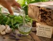 découvrez des remèdes de grand-mère efficaces pour éliminer les termites de manière écologique, sans recourir aux produits chimiques nocifs.